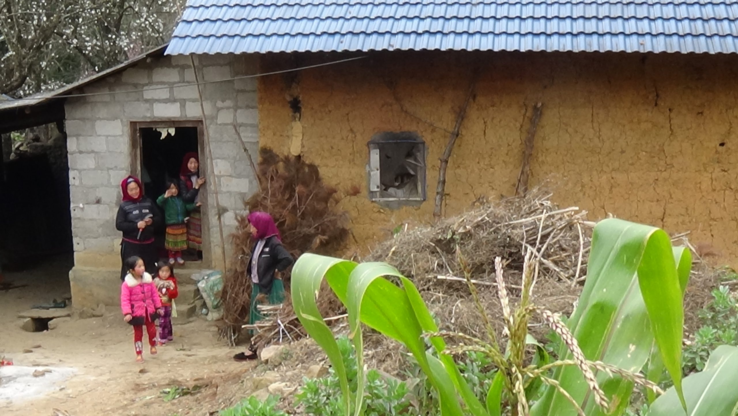 1 Day Sapa - MaTra - Ta Phin - Red Zao Village